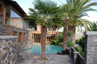Coastal Palm Garden