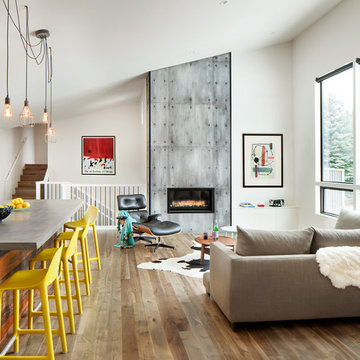 Contemporary Remodel