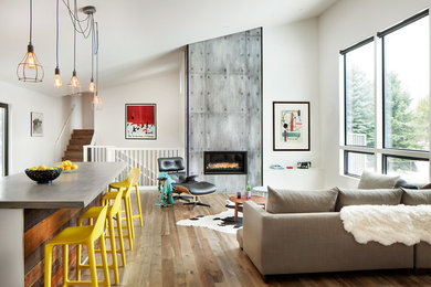Living room - contemporary living room idea in Other
