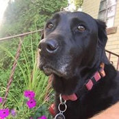 Sharon Mager Szafoni's photo