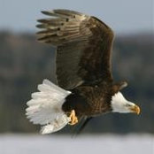 Foto von Michael Gamash