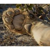 Kevin Brown's photo