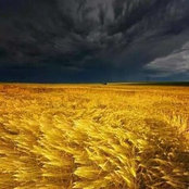Christyn Thompson's photo