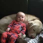 Bailey McElroy's photo