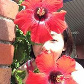 Sophia Lim's photo