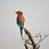 Susan Dyer's photo