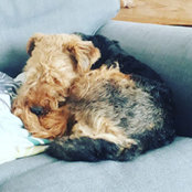 Louis Blackman's photo
