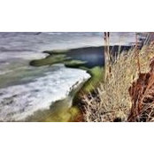 Helen Fitzpatrick's photo