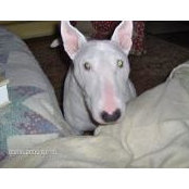 Michelle Murphy's photo