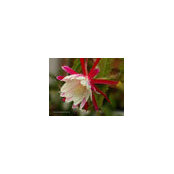 Noha Al Fayez's photo