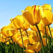 אסתי בוקצ'ין's photo