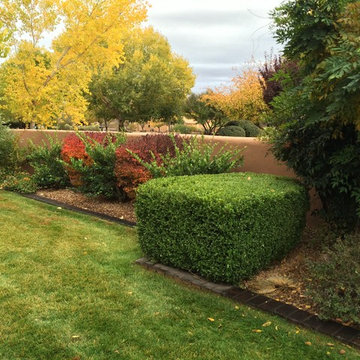 Lawn And Landscape