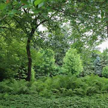Beautiful Gardens and Accents
