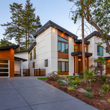 McColl Modern