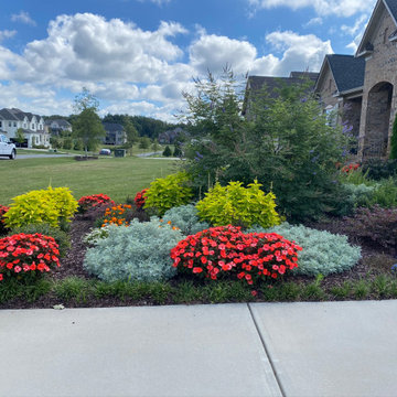 Curbside Appeal for Classic Brick Gem