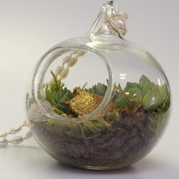 Miniature Terrariums - Terrariums