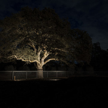 Vintage Oak Estate