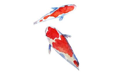 Koi Artwork
