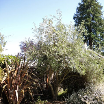 Clean modern landscape design