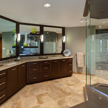 Masterful Spa-like Bathroom Suite-Aurora, IL
