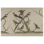 Bunting Birds Horizontal Gallery - George Edwards is often referred to as the Father of British Ornithology.  This is our interpretation of his stunning 18th century hand colored English print.