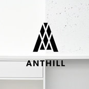 Anthill Studio's photo