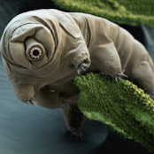 Brian Jones's photo
