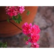 Jonathan Selway's photo