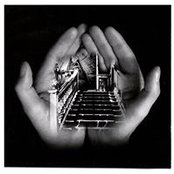 Andrea Scalco's photo