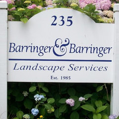 Barringer Landscape