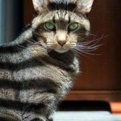 Cindy Gez's photo