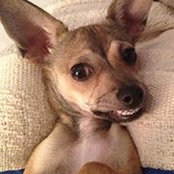 Laura Caszatt's photo