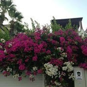 Meral Yazıcı's photo