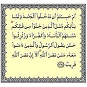 Mohamed Omar's photo