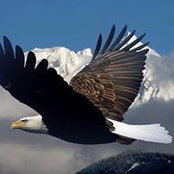 Leah Bridges's photo