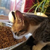 Carrie Schoultz's photo