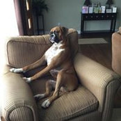 Lisa Zanardelli's photo