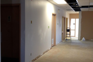 Example of a large trendy carpeted hallway design in Edmonton with gray walls