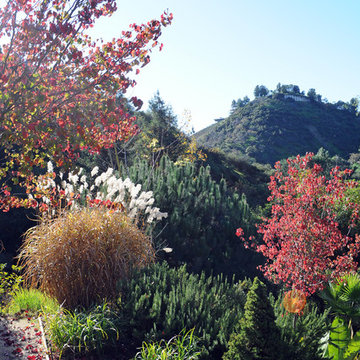 Arroyo House