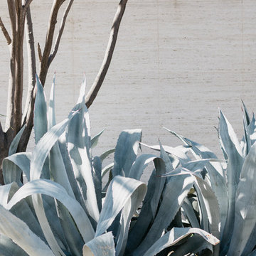 Landscape > Arboretum