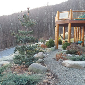 Mountain Top Perch