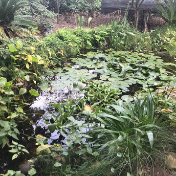 Local Nurseries