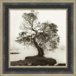 Blaustein Black and white trees - Products