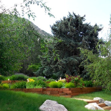 Urban Meadow