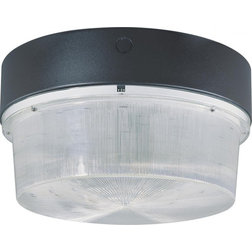 Contemporary Outdoor Flush-mount Ceiling Lighting by Lighting Lighting Lighting