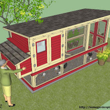 Chicken Coop