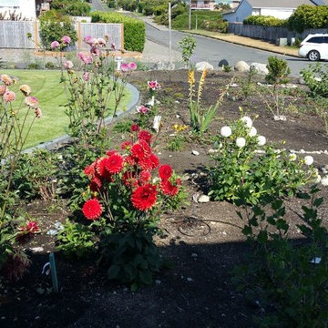 Edible Front Yard