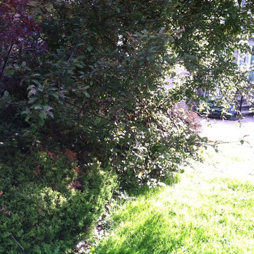 Zaccraya Cisse Spring Cleanup