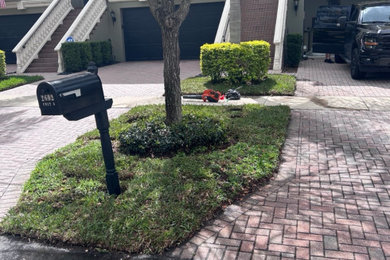 Sod Installation