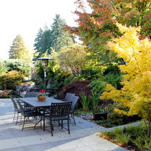 Colorful Foliage